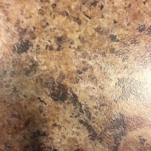 Meet your Posher, Connie